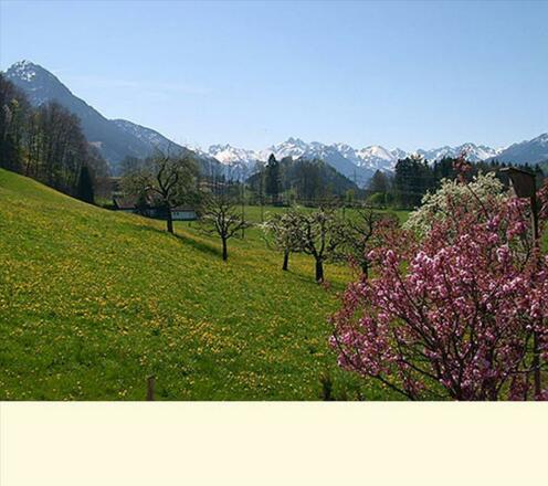 Aussicht auf die Allgäuer Berge
