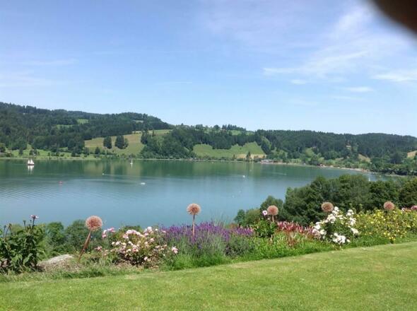 schönster Blick auf den See