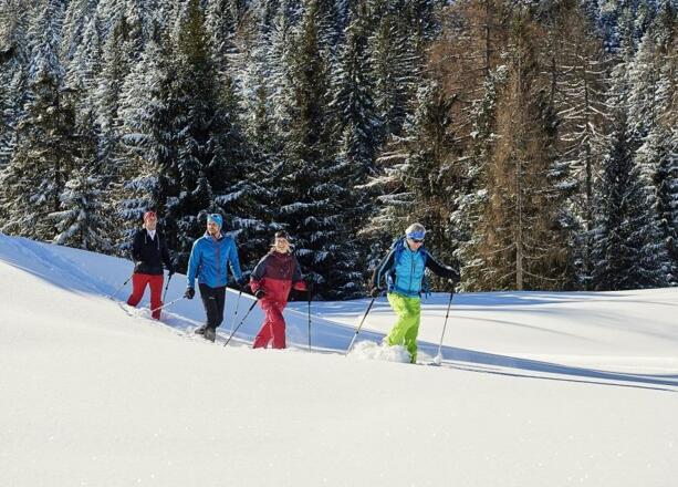 Schneeschuhwanderung