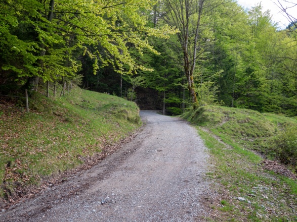 auf der Alten Spitzingstraße