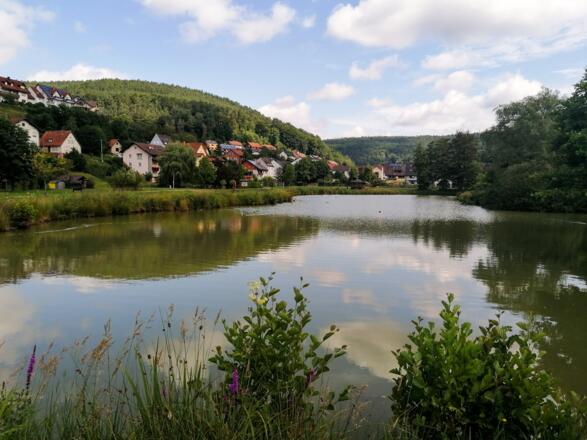 Kurparksee Heimbuchenthal