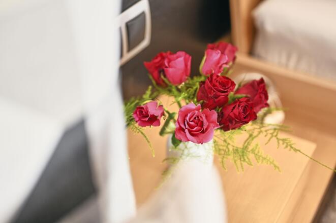 hausdrmuxel_appartement_woesterblick_rosen-1