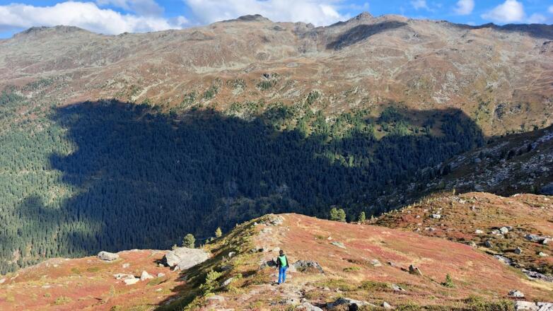 Vom Gamskar Richtung Gwannschafalm. Hinten Haneburger, Malgrübler und Sunntiger.