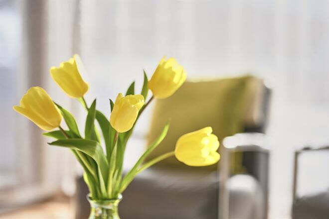 hausdrmuxel_appartement_woesterblick_detail02