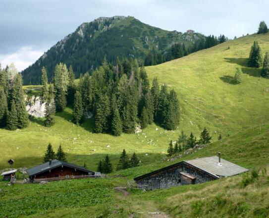 Rotspielalmen mit Jenner
