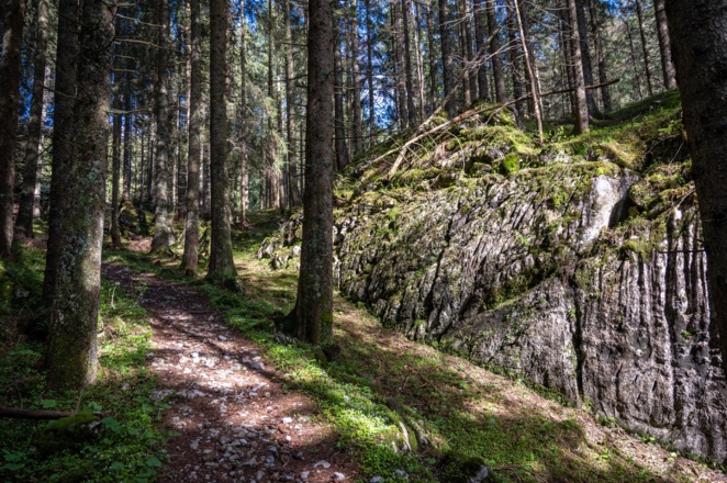 bizarre, Moos bewachsene Felsen