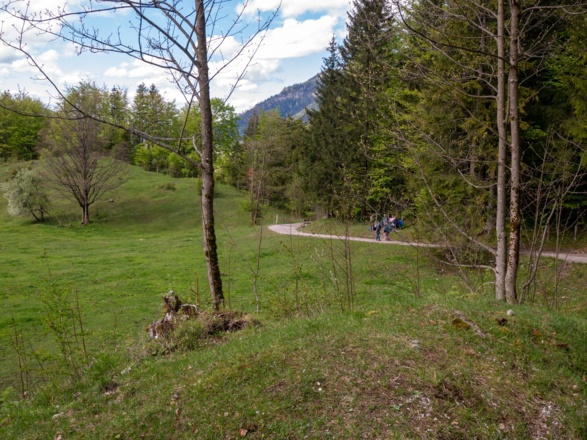 die Alte Spitzingstraße