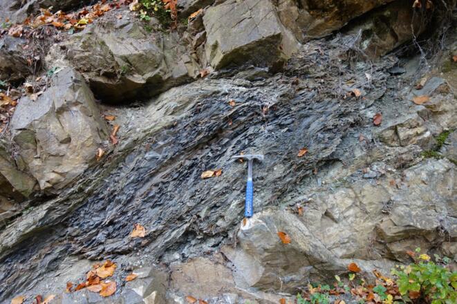 Flysch: Tristel-Formation (sandige Kalksteine und schwarze Tonsteine)