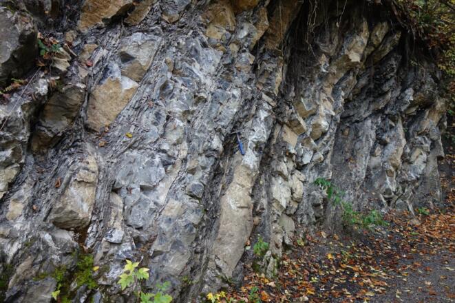 Flysch: "Boudinierte" Sandsteinbank (links) in der Tristel-Formation