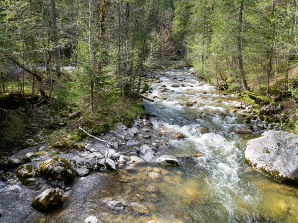 die Rote Valepp