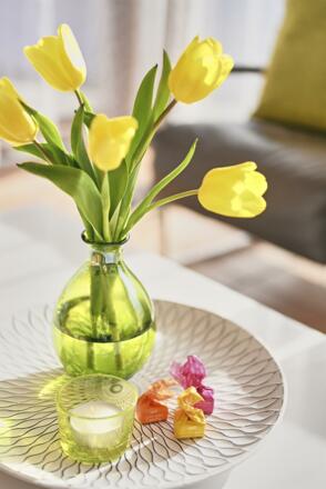 hausdrmuxel_appartement_woesterblick_detail