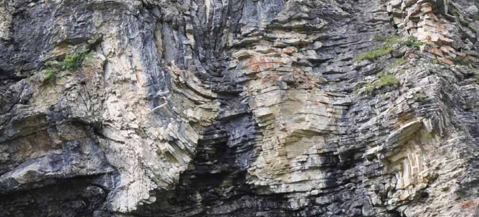 Verfaltete dünnbankige Kalksteine der Allgäu-Formation