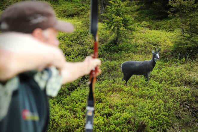 Bogenparcours Jufenalm