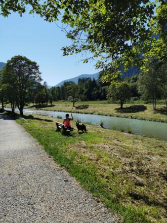 Hunderunde Fiffi entlang der Ammer