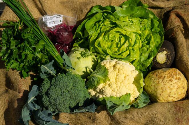 Hofladen Knapp_Gemüse