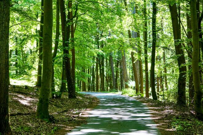 Wandern um Mespelbrunn
