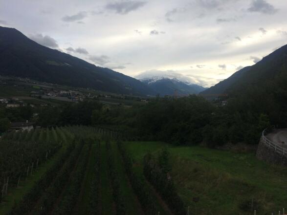 https://d1pgrp37iul3tg.cloudfront.net/objekt2_pics/obj_full_122861_006.jpg