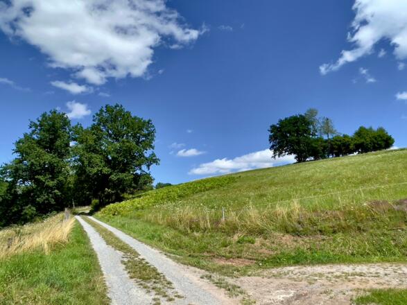 Wandern um Mespelbrunn