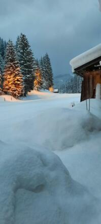 Langlaufen in der Abenddämmerung