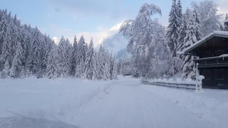 Spaziergang in der Winterlandschaft