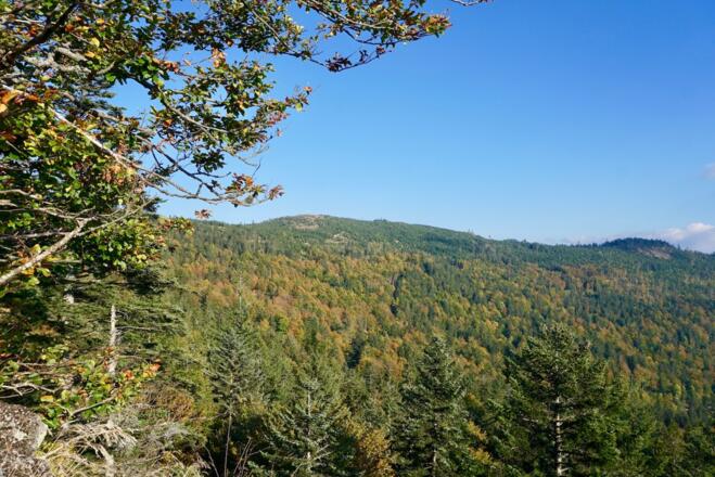 Blick vom Hochstein zum Enzian