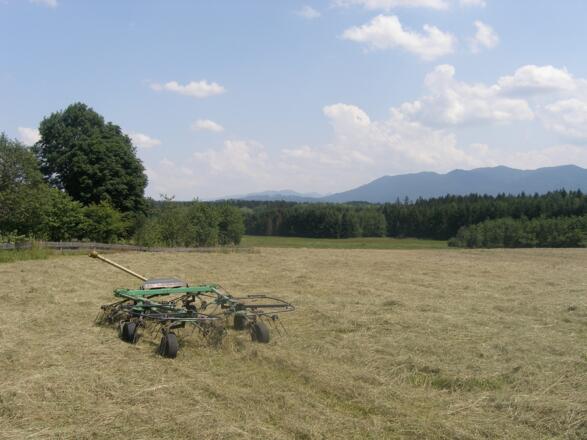 Der Rundweg bietet bei Daser einen schönen Blick auf die Alpen.