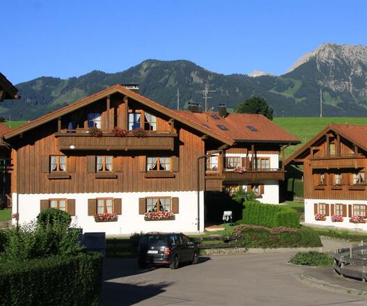 IMG_8648_b_ausschnitt