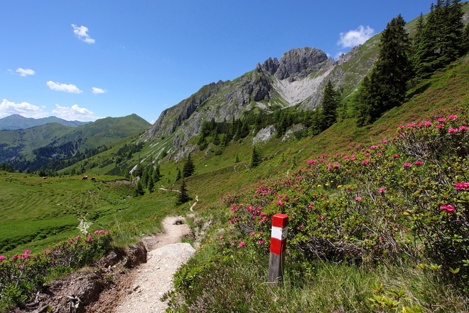 Wanderweg vom Draugsteintörl zu den Draugsteinalmen