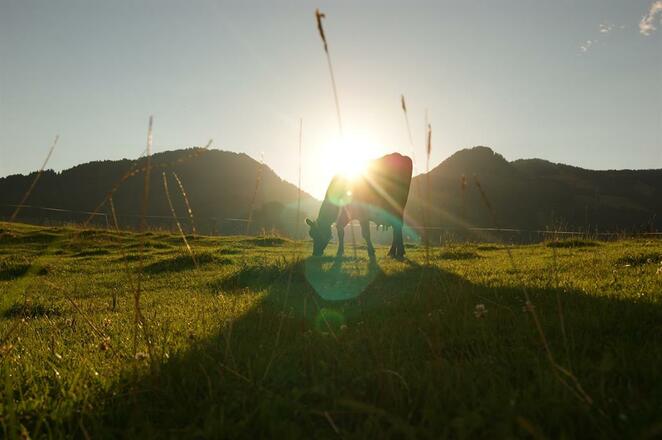 Einfach nur schön...