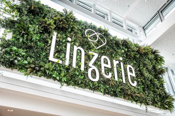 Logo Linzerie