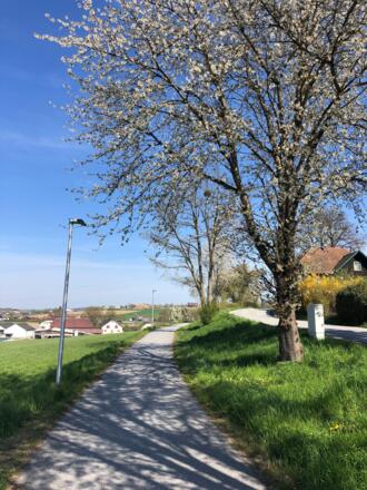 Stoanernes Bankerl Weg