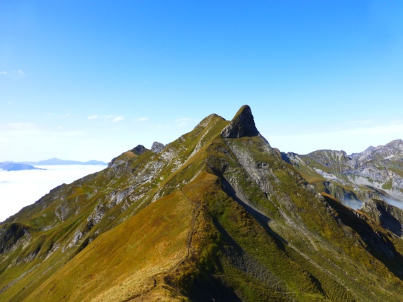 Lachenkopf - Blick vom Laufbacher Eck