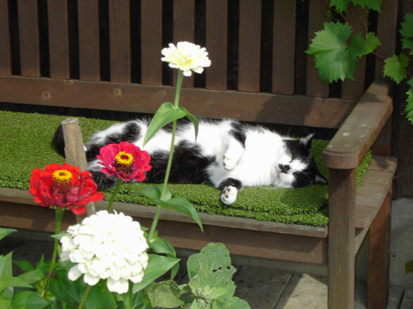 Landhaus Müller (Bad Birnbach)