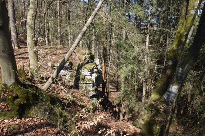 Reste der Burgruine Ödenburg