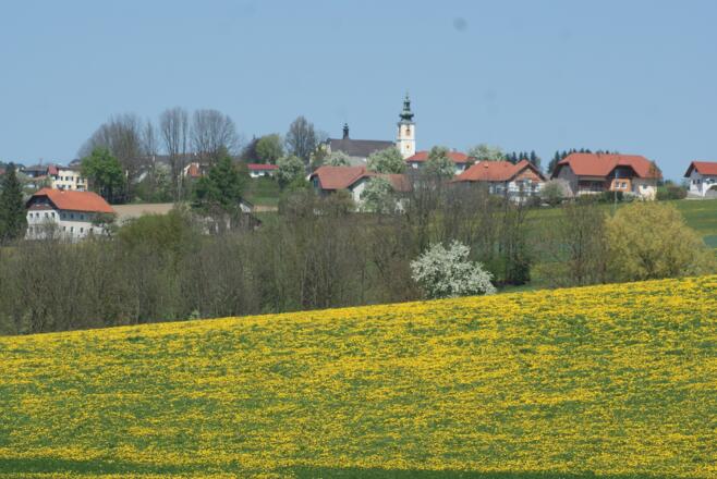 201220428-St.Agatha (1+) (48)