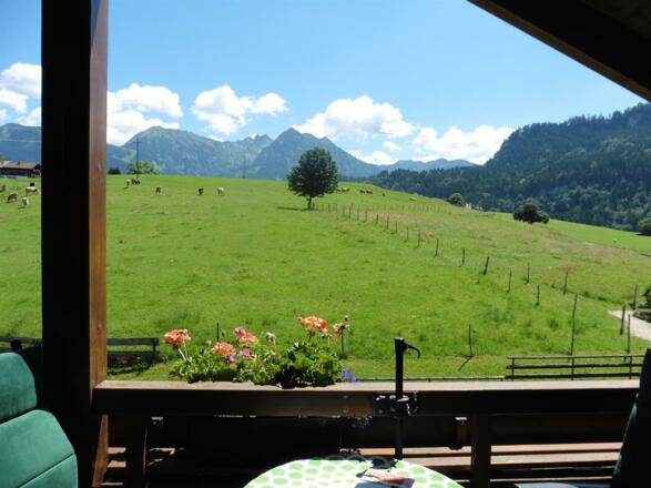 Nebelhornblick