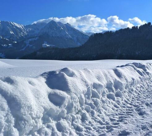 Winterwanderweg