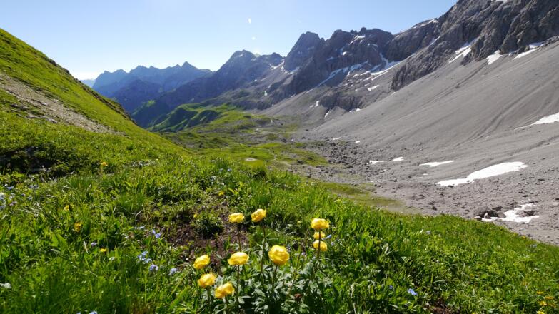 Blick vom Märzlesattel auf die malerische Hochebene "Auf der March"