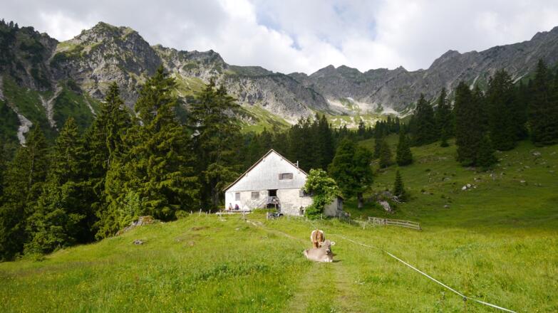 Älpe-Alpe