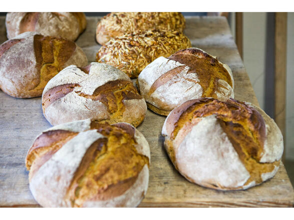 Niedermaier-Hof (Bad Birnbach)