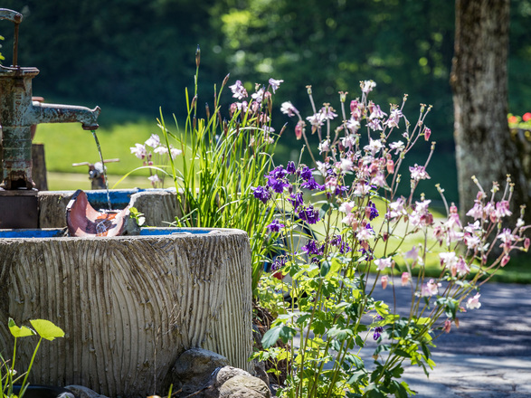 Blumen im Garten