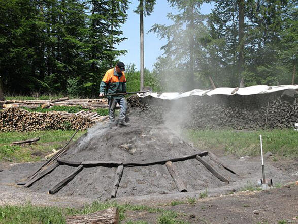 Kohlplatten Schauköhlerei
