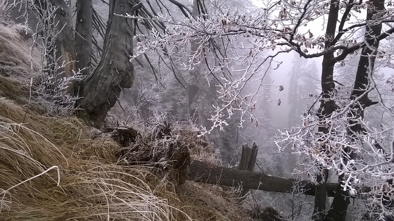 der Wildbarren im  Inntal ist zu jeder Jahreszeit eine lohnende Bergtour für die Gäste der Fewo zwischen Berg und Bach
