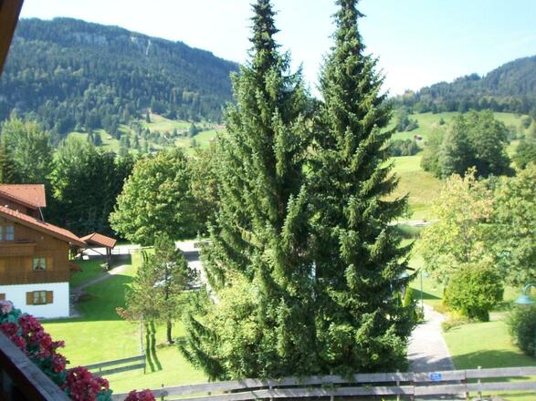 Ferienwohnung Edelweiss Blick vom Westbalkon