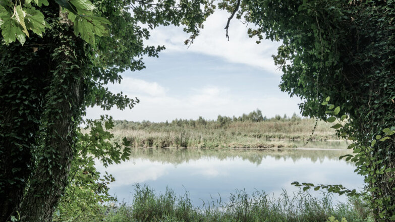 Innviertel_Sommer_Blick-vom-Wald-aufs-Wasser_Oberoesterreich-Tourismus-GmbH_Robert-Maybach_NEU