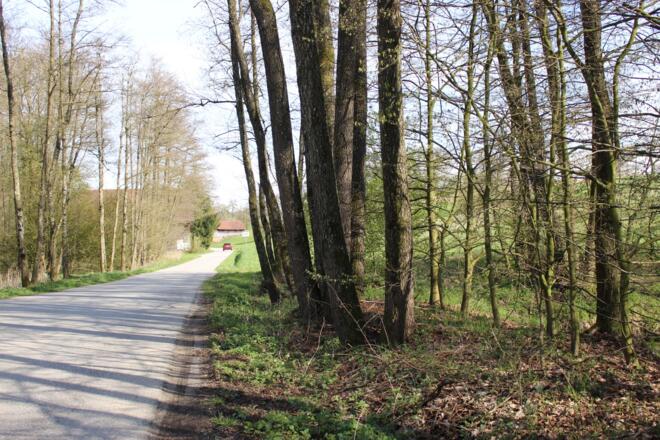 Oberndorf Edt Pfarrhof