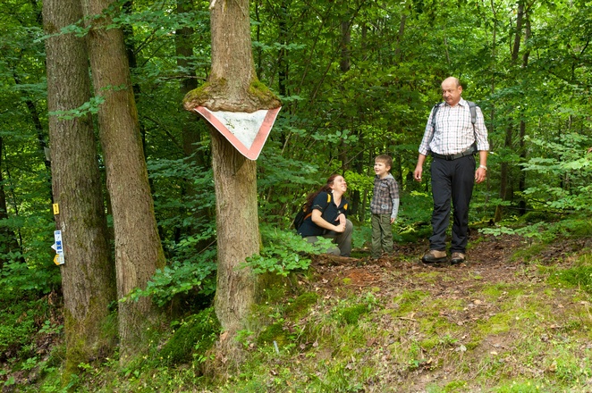 Kuriosität am Spessartweg 2