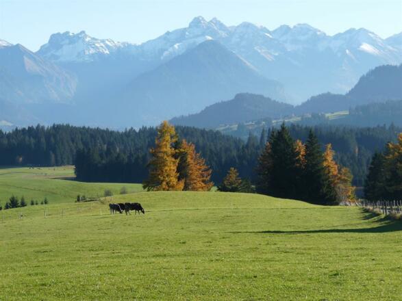 Herbst in den Hörnerdörfern