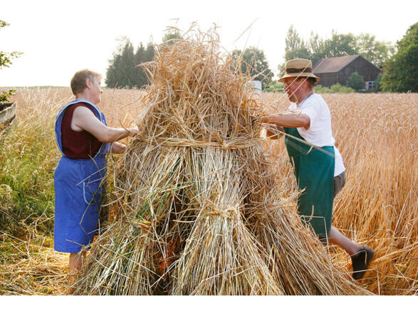 Niedermaier-Hof (Bad Birnbach)