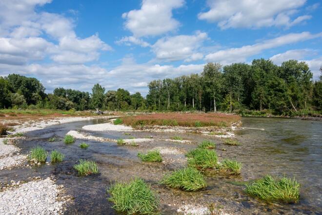 Kiesbänke im Naturschutzgebiet Isarauen